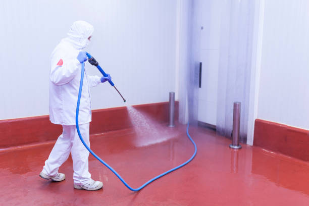 Best Post-Construction Pressure Washing  in Hidalgo, TX